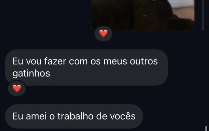 Print de conversa no WhatsApp: a cliente escreve eu amei o trabalho de vocês e diz que vai fazer com os outros gatinhos